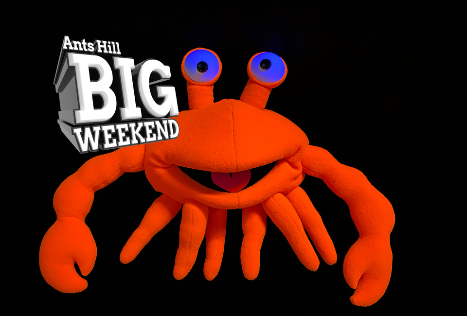 Ants Hill Big Weekend: The Groovy UV Show