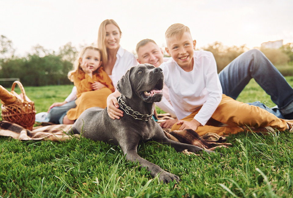 Pets are part of the fun!