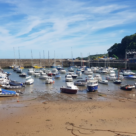 Saundersfoot Harbour