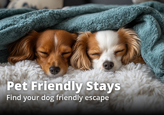 Pet friendly holiday accommodation